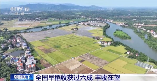 黄金配资开户官网 早稻丰收在望 秋粮长势良好 今年的粮食有保障